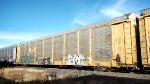CNA 712631 CNA 712631